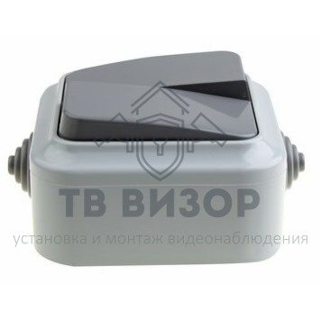 Выключатель
 Выключатель двухклавишный  влагозащищенный открытой установки Rexant  IP 54, 10А (78-0521)-0