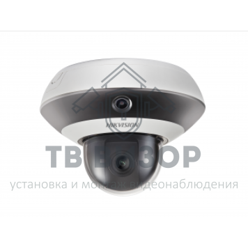 Видеокамера сетевая (IP) DS-2PT3326IZ-DE3 (2.8-12mm)-0