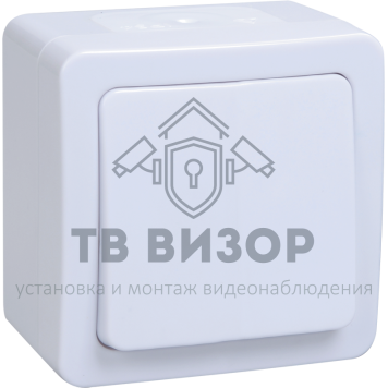 Выключатель
 Гермес PLUS Выключатель одноклавишный ВС20-1-0-ГПБ наружный IP54 (EVMP10-K01-10-54-EC)-0