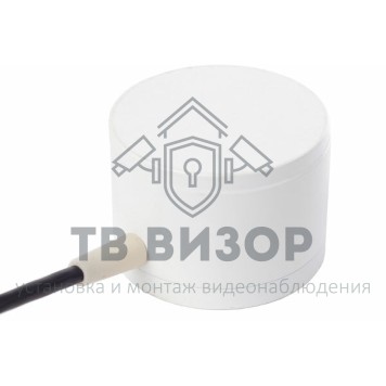 Извещатель охранный сейсмический
 СД-2-1 (оконечный с каб. L=3м)-0