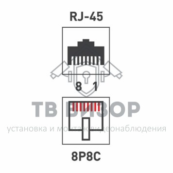 Розетка компьютерная
 Розетка сетевая LAN, на стену, (1 гнездо 8Р8С (Rj-45), 5e кат) REXANT  (06-0104-B) кратно 10 шт-1