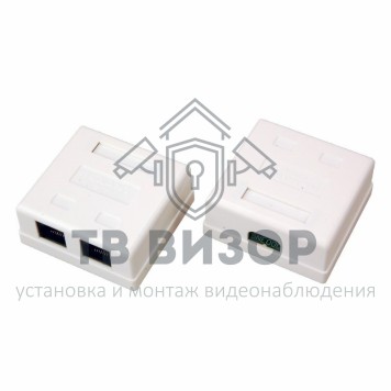 Розетка компьютерная
 Розетка сетевая LAN, на стену, (2 гнездо 8Р8С (Rj-45), 5e кат) REXANT (06-0105-C) кратно 10 шт-0