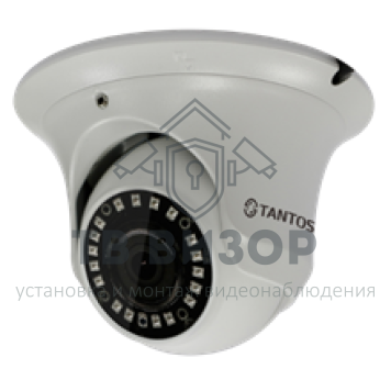 Видеокамера сетевая (IP)
 TSi-Ee25FP-0