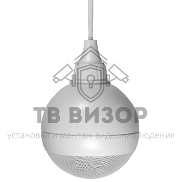 Громкоговоритель
 ГЛАГОЛ-ПШ-10-1