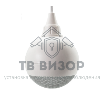 Громкоговоритель
 ГЛАГОЛ-ПШ-10-0