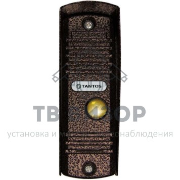 Вызывная видеопанель WALLE (медь)-0