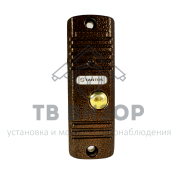 Вызывная видеопанель WALLE (медь)-5