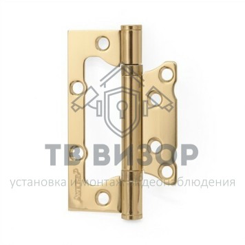 Петля накладная (без врезки)
 100*63*2-B2-G-0