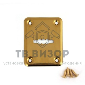 Накладка для сувальдного ключа
 DP-01-S-G-0