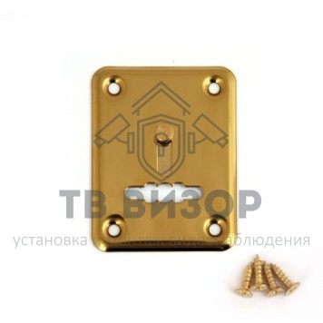 Накладка для сувальдного ключа со шторкой
 DP-01-S-G-shutter-1