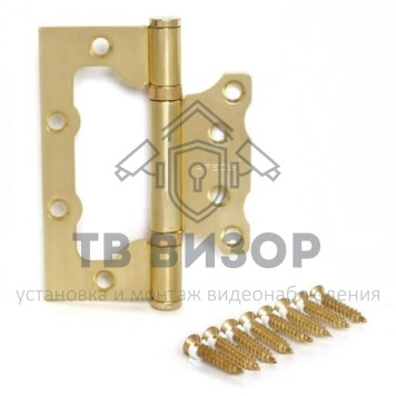 Петля накладная (без врезки)
 100*75*2,5-B2-Steel-GM-Blister-1