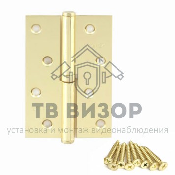 Петля разъемная
 100*70*2,5-B-G-R-0