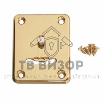 Накладка для сувальдного ключа со шторкой
 DP-S-01-G-shutter-1