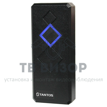 Считыватель
 TS-RDR-E Black-0