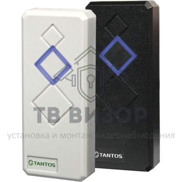 Считыватель
 TS-RDR-E White-1