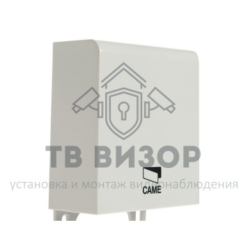 Модуль радиоканальный
 RIOCT8WS (806SS-0050)-0