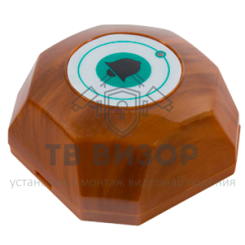 Кнопка вызова
 TSw-BQ1-0