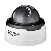 Видеокамера сетевая (IP)
 SVI-D353VM SD SL