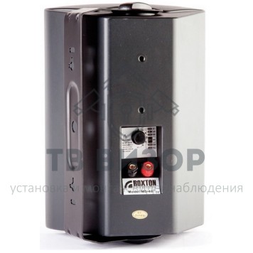 Громкоговоритель
 MS-20TB-1