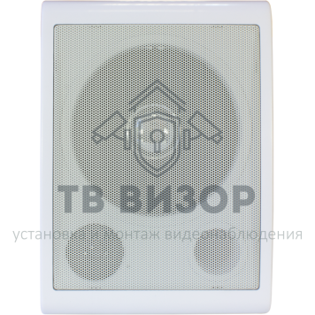 Громкоговоритель
 TSo-SW6a-1