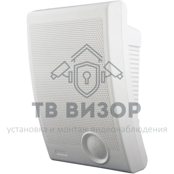 Громкоговоритель
 TSo-SW10a-0