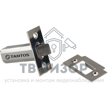 Замок электромеханический
 TS-EML300-0