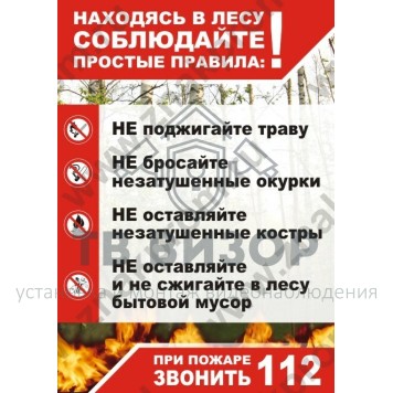 Плакат
 Плакат Правила в лесу А4 (самокл. пленка)-0