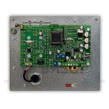 Вызывная аудиопанель
 PRO-TM (серебряный антик)-4