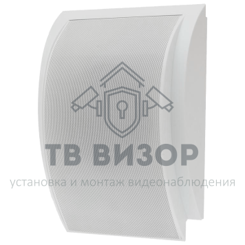 Громкоговоритель
 TSo-SW6b-0