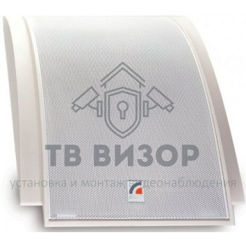 Громкоговоритель
 SWS-10-1