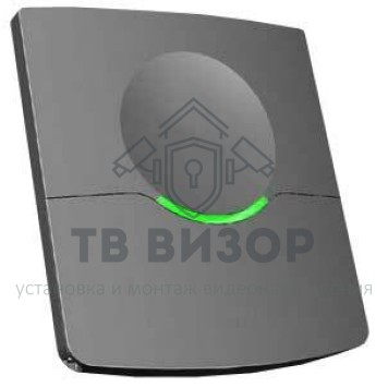 Считыватель дальней идентификации
 Nedap Transit Entry-0