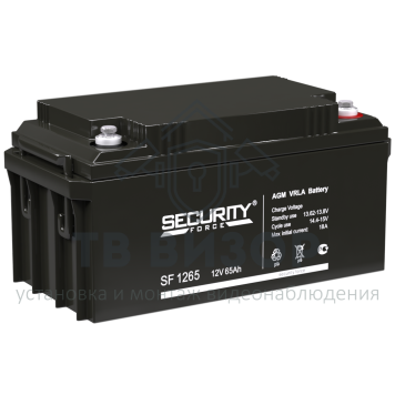 Аккумуляторная батарея
 Аккумулятор 12В 65 А∙ч (SF 1265)-0