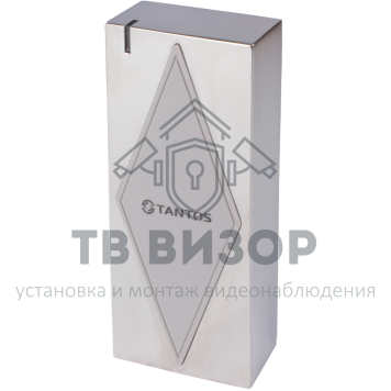 Считыватель
 TS-RDR-EHMF Metal-1