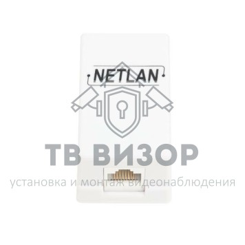 Соединитель
 EC-UCB-55-UD2-WT-10-0