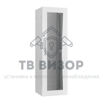 Шкаф телекоммуникационный
 TFI-246060-GMMM-GY-0