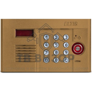 Вызывная аудиопанель
 DP303-TD16 (1036)-0