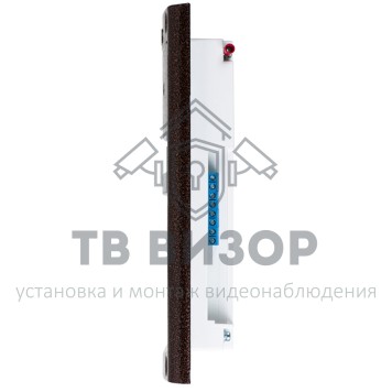 Вызывная аудиопанель
 DP420-RD24 (медь)-2