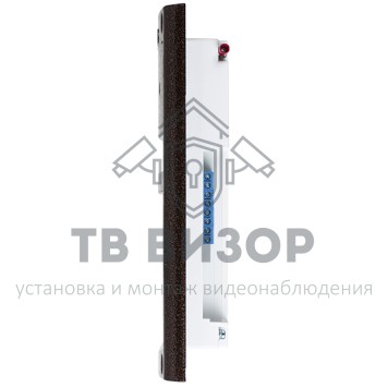 Вызывная аудиопанель
 DP400-RD24 (медь)-2