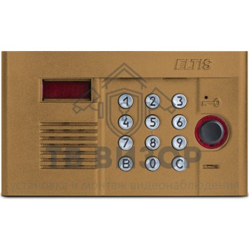 Вызывная аудиопанель
 DP300-RD16 (1036)-0