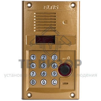 Вызывная аудиопанель
 DP300-RD24 (1036)-0