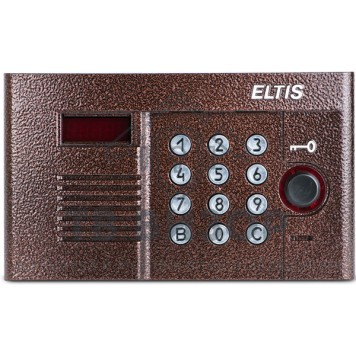 Вызывная аудиопанель
 DP305-RD16 (медь)-1