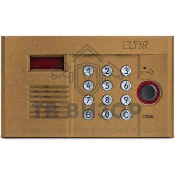 Вызывная видеопанель
 DP300-RDC16 (1036)-0