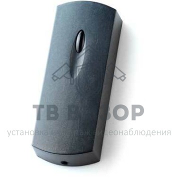 Считыватель
 Matrix-III EH темно-серый-0