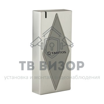 Считыватель
 TS-RDR-E Metal (W-26)-0