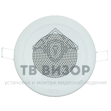 Громкоговоритель
 CS-303FC-0