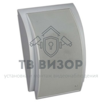 Громкоговоритель
 WS-10T-0