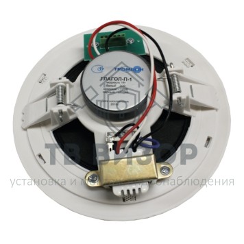 Громкоговоритель
 ГЛАГОЛ-П-1-1