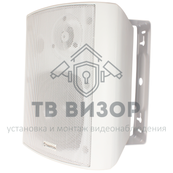 Громкоговоритель
 TSo-SW15k-0