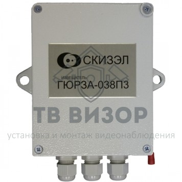 Извещатель
 Гюрза-038ПЗ исполнение 1-0