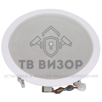 Громкоговоритель
 CSL-10T-0